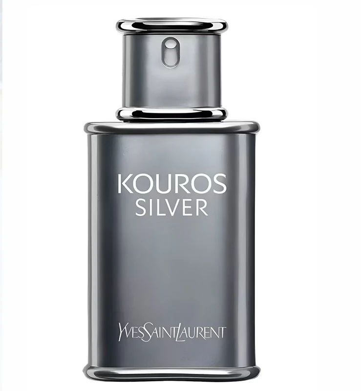 Kouros Silver EDT Yves Saint Laurent 100ml image by Eloi Developers